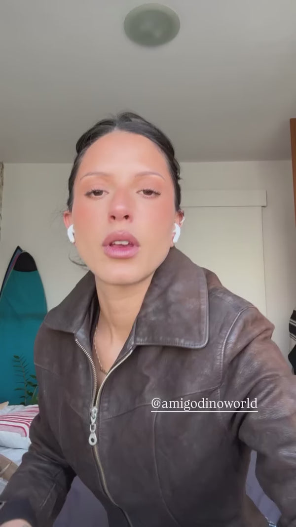 amigoDino